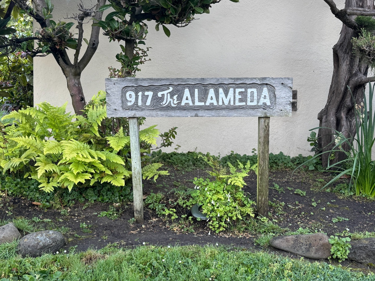 917 The Alameda Image #3